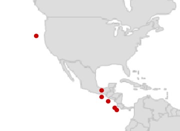 West Coast West Coast