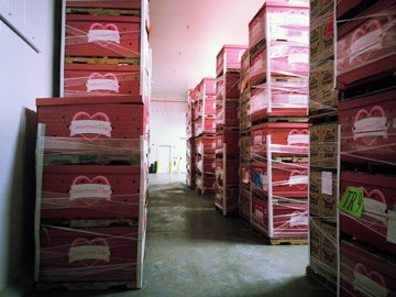 CrowleyFresh-ValentinesDayPallets-sm CrowleyFresh-ValentinesDayPallets-sm