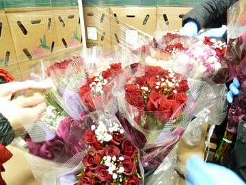 CrowleyFresh-ValentinesDayRoses CrowleyFresh-ValentinesDayRoses