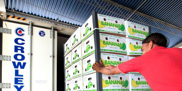 Perishables-First-Time-Importer Perishables-First-Time-Importer