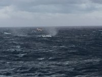 IMG_0553 IMG_0553