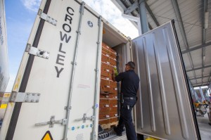 Crowley’s new USDA customs inspection dock in Port Everglades, Florida, results in more efficient perishable service from Central America and the Caribbean. 