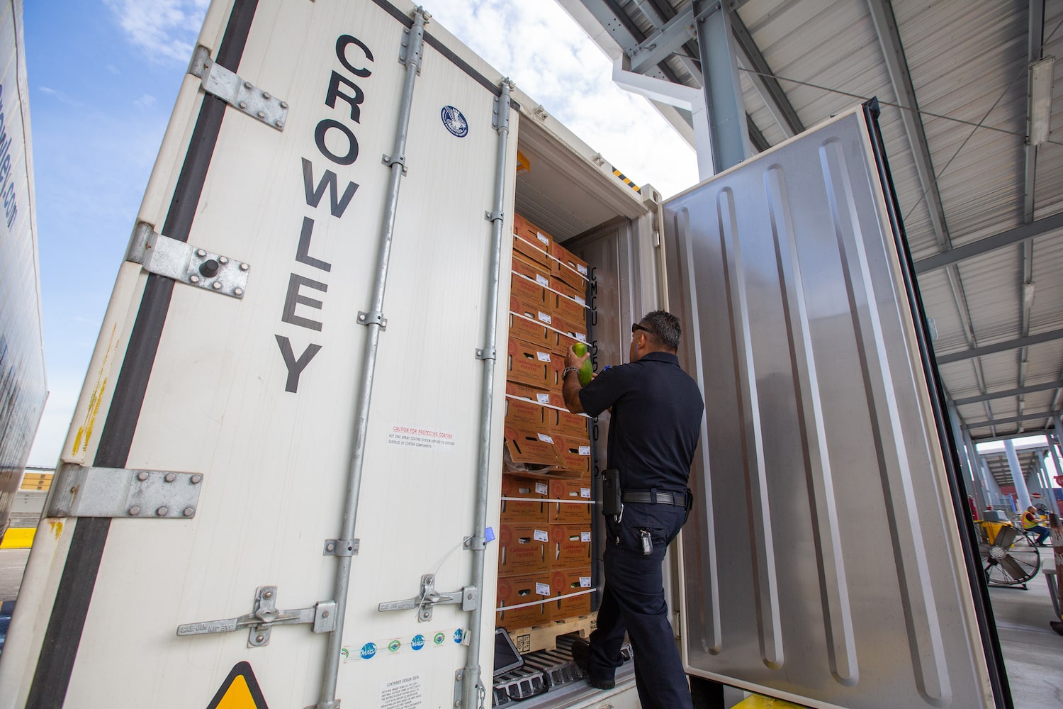 Cold Chain Logistics and Refrigeration The Ultimate Guide